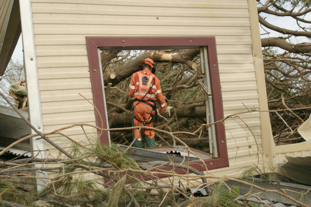 Trusted Dakota City, NE Tree Services Experts